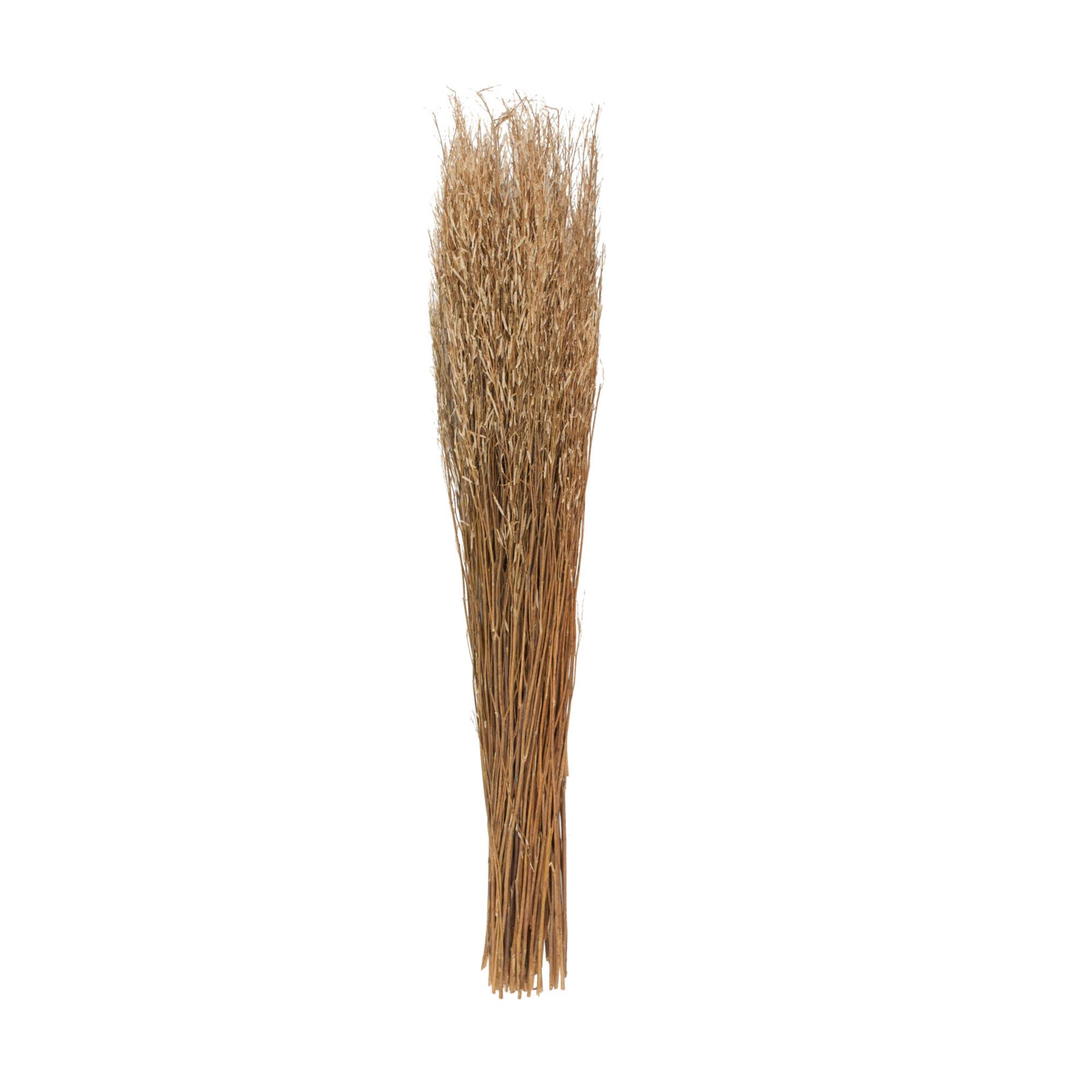 42" Brown Dried Natural Mustard Plant Foliage